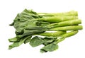 Chinese kale vegetable isolated on white background Royalty Free Stock Photo