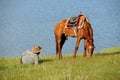 Chinese Kazakh herdsmen with horse at Sailimu lak