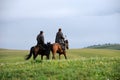 Chinese Kazakh herdsmen riding horse in grasslan Royalty Free Stock Photo