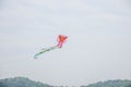 Chinese kites Royalty Free Stock Photo
