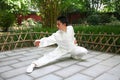 Chinese kongFu Royalty Free Stock Photo