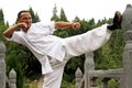 Chinese kung Fu Royalty Free Stock Photo