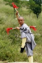 Chinese Kung Fu Royalty Free Stock Photo