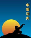 Chinese Kung Fu Royalty Free Stock Photo