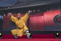 Chinese New Year 2019 - Shaolin Kung Fu Royalty Free Stock Photo
