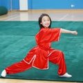 Chinese kungfu child Royalty Free Stock Photo