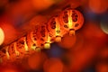 Chinese lamps for Chinese New Year festival.