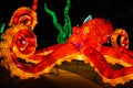 Giant Lighted Octopus at the Chinese Lantern Festival Atlanta