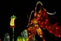 Chinese Lantern: Monkey King