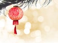 Chinese lantern on pine tree isolate over golden bokeh Royalty Free Stock Photo