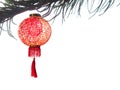 Chinese lantern on pine tree isolate on white for Chinese New Ye Royalty Free Stock Photo