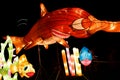 Chinese lantern Show
