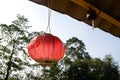 Chinese lantern Royalty Free Stock Photo