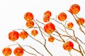Chinese lantern on a white background Royalty Free Stock Photo