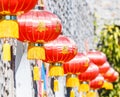 Chinese Lantern for Chinese New Year celebration