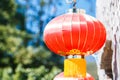 Chinese Lantern for Chinese New Year celebration