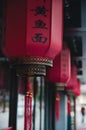 Chinese lanterns. Chinese red lantern in chinese newyear festival.