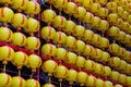 Chinese lanterns displayed at Lungshan Temple