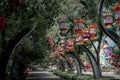 Chinese lanterns of Wuhan garden expo park China Royalty Free Stock Photo