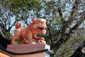 Chinese lion