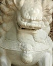 Chinese lion Royalty Free Stock Photo
