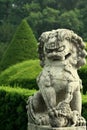 Chinese Lion