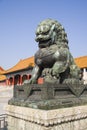 Chinese Lion Royalty Free Stock Photo