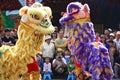 Chinese Lion Dance