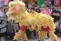 Chinese Lion Dance