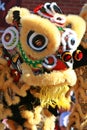 Chinese Lion Dance Royalty Free Stock Photo