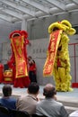 Chinese Lion Dance