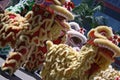 Chinese Lion Dance Royalty Free Stock Photo