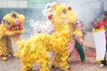 Chinese Lion Dance