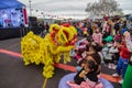 Chinese lion dancers entertain crowd at moon festival Royalty Free Stock Photo