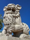 Chinese Lion Figurine