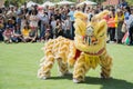 Chinese lion at the Norooz Festival and Persian Parade