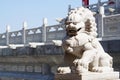 Chinese Lion sculpture with chinese ornament detail in the temple