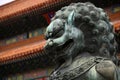 Chinese lion statue - close up Royalty Free Stock Photo