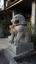 Chinese Lion Statue