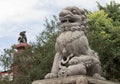 Lion chinese temple statue Royalty Free Stock Photo