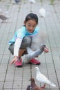 Chinese little girl feeding pigion Royalty Free Stock Photo