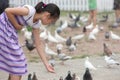 Chinese little girl feeding pigion Royalty Free Stock Photo