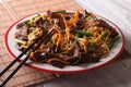 Chinese lo mein with beef, muer and vegetables close-up. Horizon Royalty Free Stock Photo