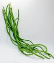 Chinese Long Beans on White Background