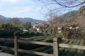 Chinese Longjing tea plantation in Hangzhou