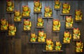 Chinese lucky cats on shelves Royalty Free Stock Photo