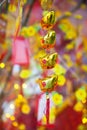 Chinese Lunar New Year ot Tet decorations, Vietnam Royalty Free Stock Photo