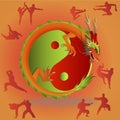 Chinese martial arts and tai chi