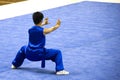 Chinese Martial Arts (Wushu) Royalty Free Stock Photo