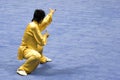 Chinese Martial Arts (Wushu) Royalty Free Stock Photo